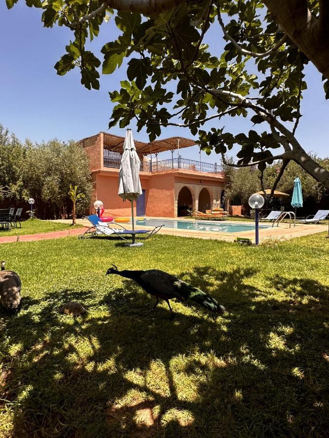 Villa Ms Holidays Mika Privatisee Marrakech Марракеш Экстерьер фото