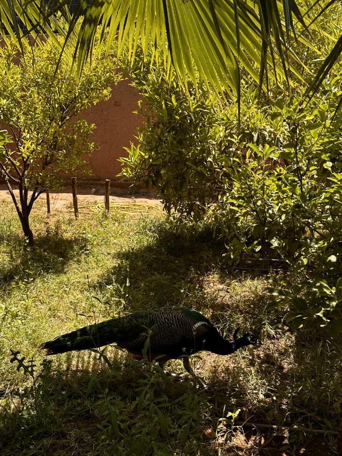 Villa Ms Holidays Mika Privatisee Marrakech Марракеш Экстерьер фото