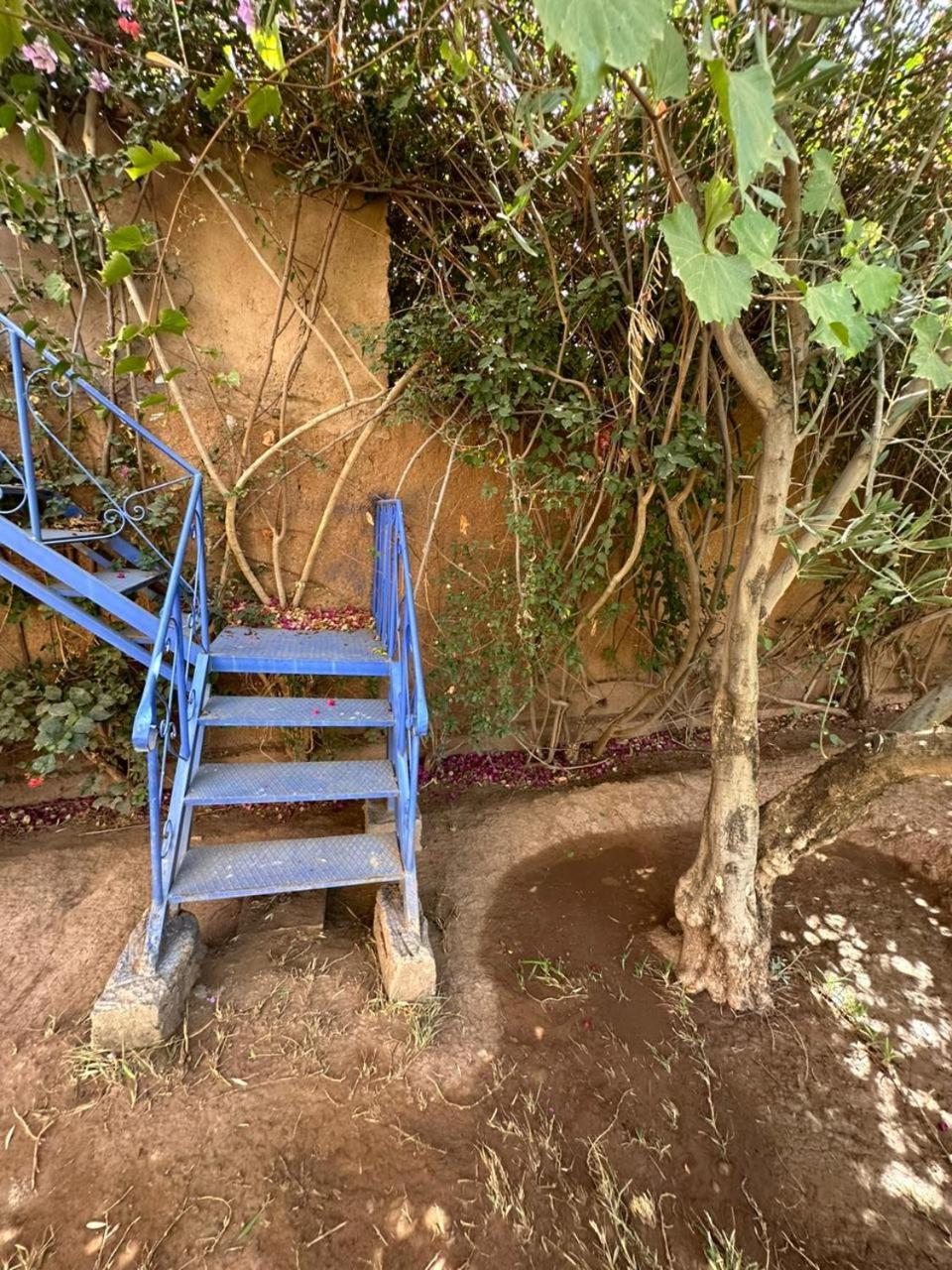 Villa Ms Holidays Mika Privatisee Marrakech Марракеш Экстерьер фото